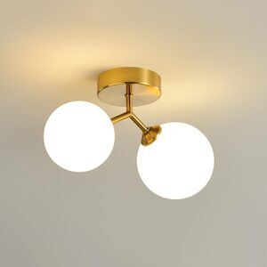 Riankh 2-Light LED Ceiling Light with Bulb Nordic Glass Ball Ceiling Light Fixtu